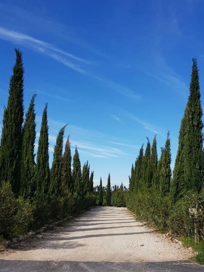 Le Mas De Guiguite Mézoargues Exteriör bild